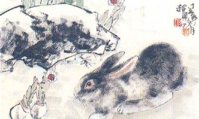 1951年属兔的人2020年运势及运程大全解析