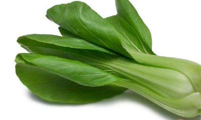 梦到很大一堆蔬菜