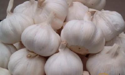 梦到获得许多 蒜头