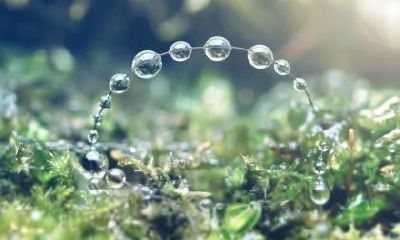 为什么忌讳惊蛰前打雷？惊蛰前打雷有什么说法？