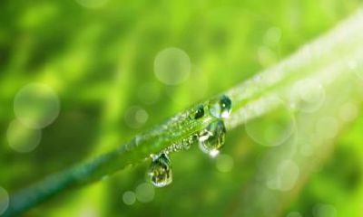 惊蛰后是什么季节？惊蛰后天气还会冷吗？