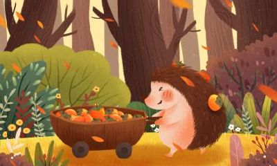 大暑节气简介，大暑的由来和习俗你知道吗？