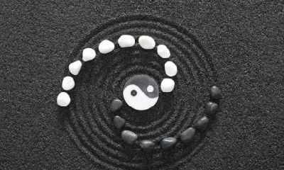 属猪处暑节气出生的人命理解析！