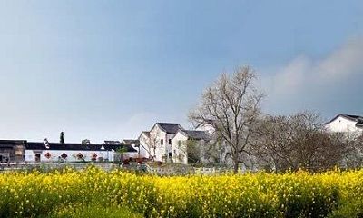 2018年属兔的人感情运势好不好？