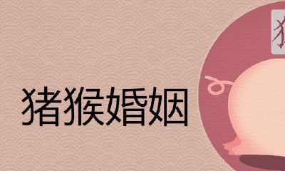 猪猴婚姻生活适合吗