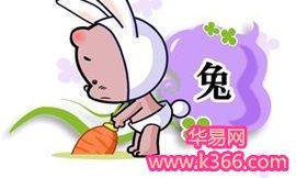 属兔的今年多大2014