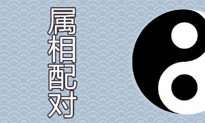 一家四口哪些生肖配对最好