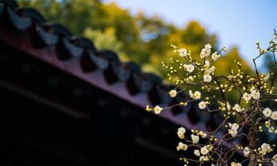 2020年立春在什么时候？立春有什么宜忌内容？