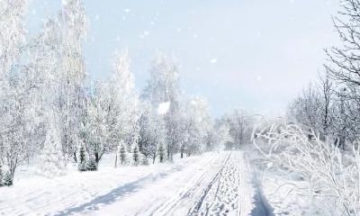 2019年小暑节气可以订婚吗，是吉日吗？