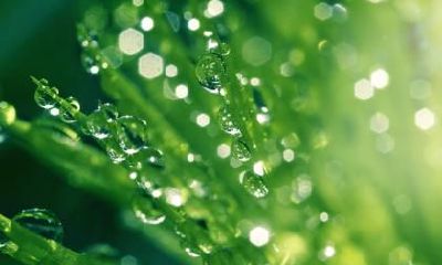 2020年惊蛰前一日可以迁坟吗？迁坟有什么讲究和忌讳？