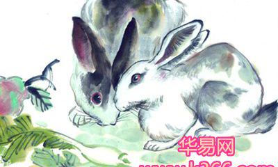 属兔男生和属牛女生配对