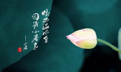 小暑有哪些民俗禁忌忌讳？小暑时期要注意些什么？