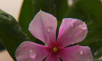 属兔人最有福气的时间段有哪些