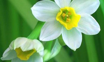 属兔人是如何度过光棍节的