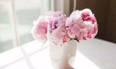 好心性，是人最好的风水