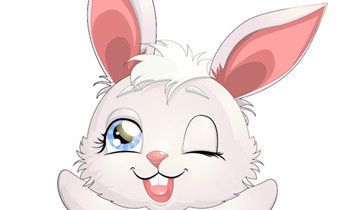 1999年属兔的人2017年运程