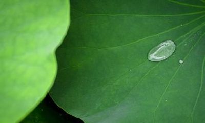 大暑三候是什么意思？大暑有什么气候特征？