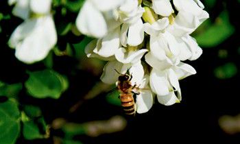 为属兔爸爸选礼物