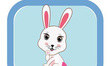 1951年属兔的人2017年运程