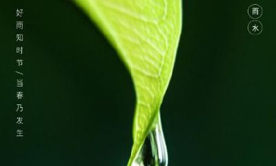 2020年雨水2月19日上坟祭祖好不好？上坟祭祖注意事项大全！