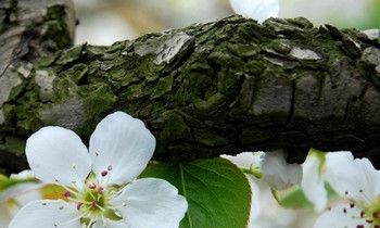 属兔人遇见碰瓷的会怎样解决