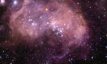 属兔看恐怖片会是什么反应