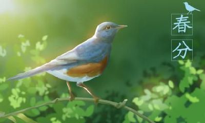 春分前一天四离日“大事勿用”是什么意思？