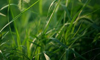 属兔女生如何被追求