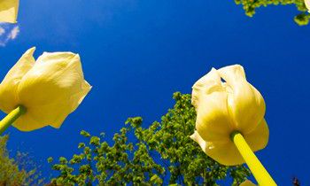 属兔人有了难言之隐会怎么处理