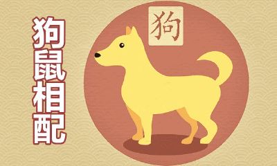 男94狗女96鼠婚配会有好結果吗