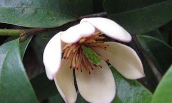 属兔男生应该如何经营爱情