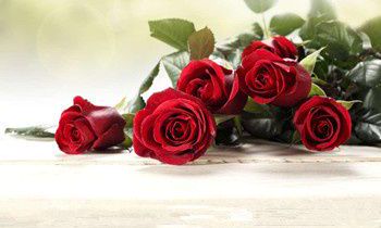 属兔的性格特点有哪些