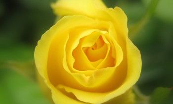 属兔人十一长假的运势是怎样的