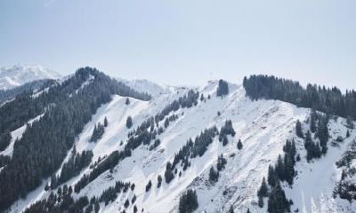 2020年春分节气是哪天？2020年3月20日春分