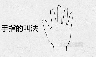 五个手指的称呼