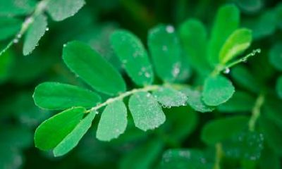 2018年10月8日寒露不同时辰的吉凶一览！