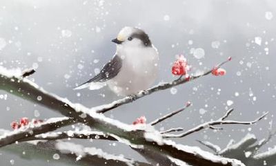 春分节气为什么要竖鸡蛋？原理是什么？