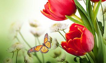 属兔人让人感到讨厌的坏习惯