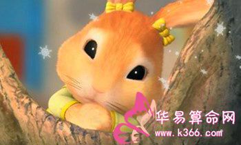 属兔人2016年下半年开运指南