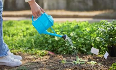 2020年3月5日惊蛰迁坟好不好？迁坟有什么讲究和忌讳？