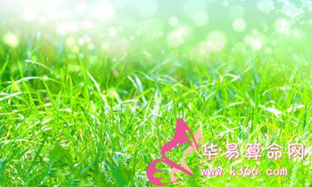 鼠兔人让人感到厌恶的坏习惯