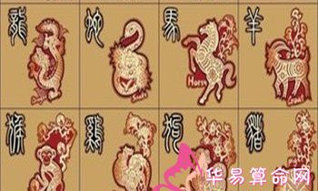 属兔的适合什么工作