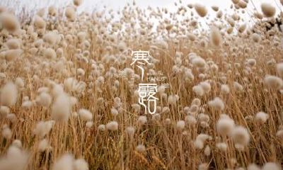 属鼠的人寒露出生命运怎么样？适合从事什么职业？