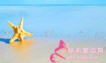 属兔人具有的爱情战斗力