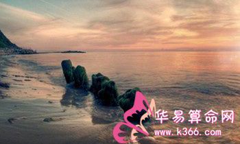 属兔的人丢弃什么就可以海阔天空