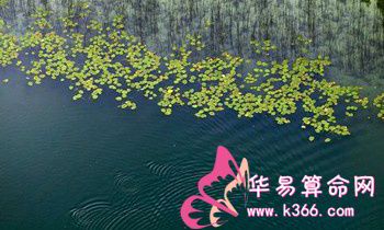 属兔人应注意哪些养生