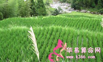 属兔的人在西游记中的代表人物有谁