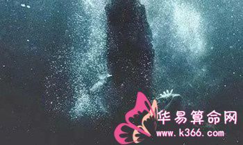 属兔的和什么属相最相配