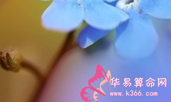 属兔的女生拿什么包聚财