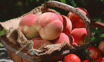 属兔的人最喜欢念叨的事情是什么